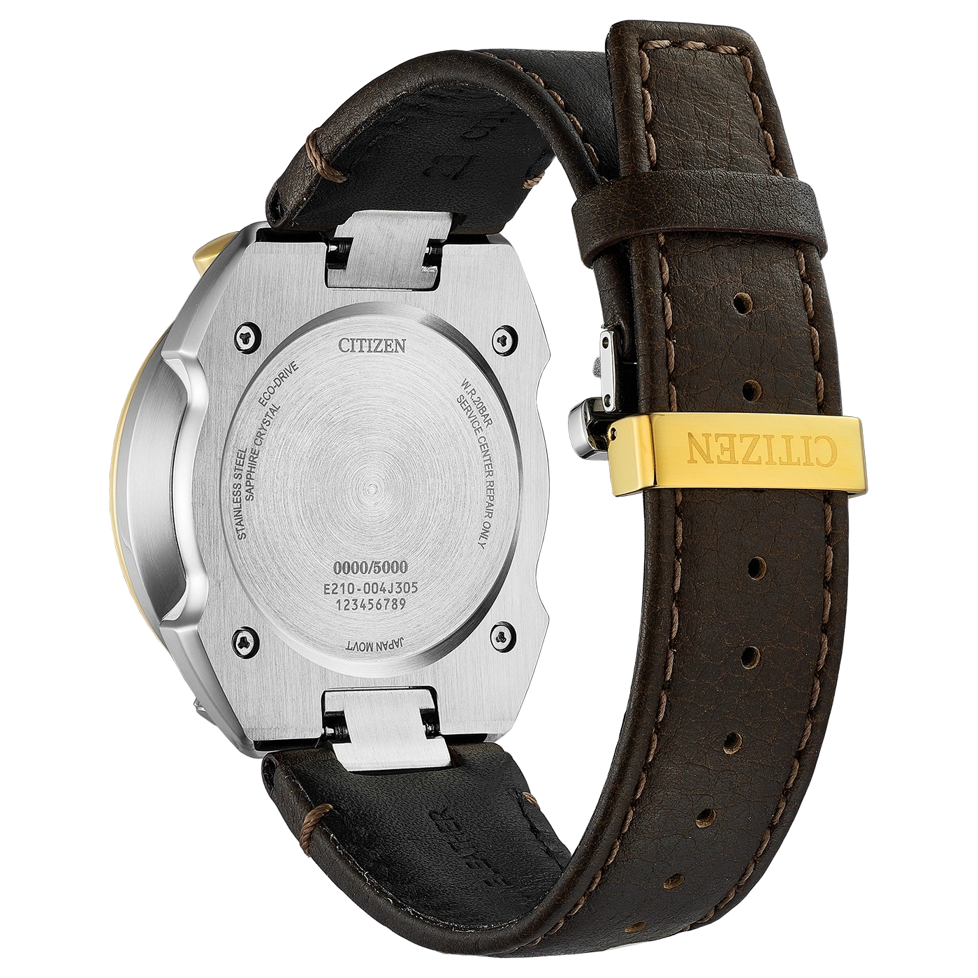 Rückseite einer Citizen Eco-Drive Uhr mit Lederarmband und goldener Schnalle.