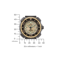 BN0226-10P Promaster Eco-Drive Diver