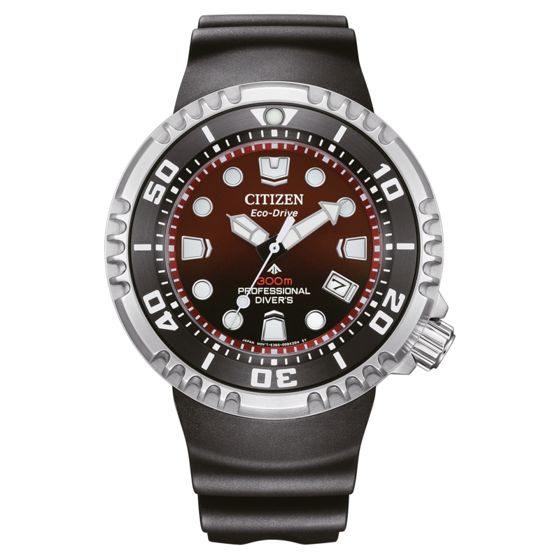 BN1024-01Z Prof. Diver 300