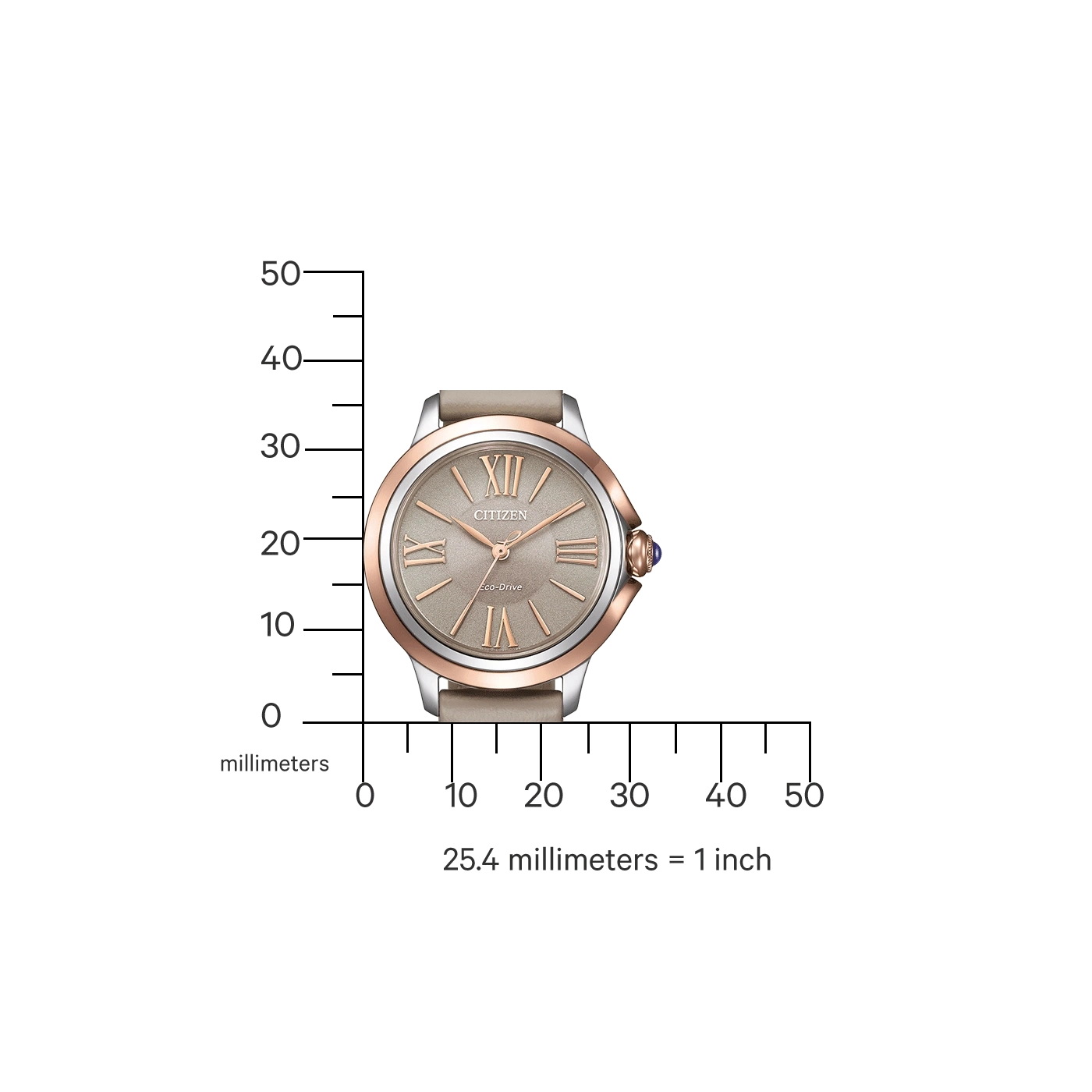 Citizen-Uhr mit Maßstab, der die Größe in Millimetern und Zoll anzeigt.