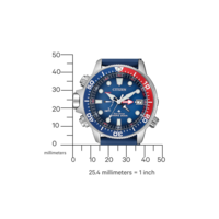 BN2038-01L