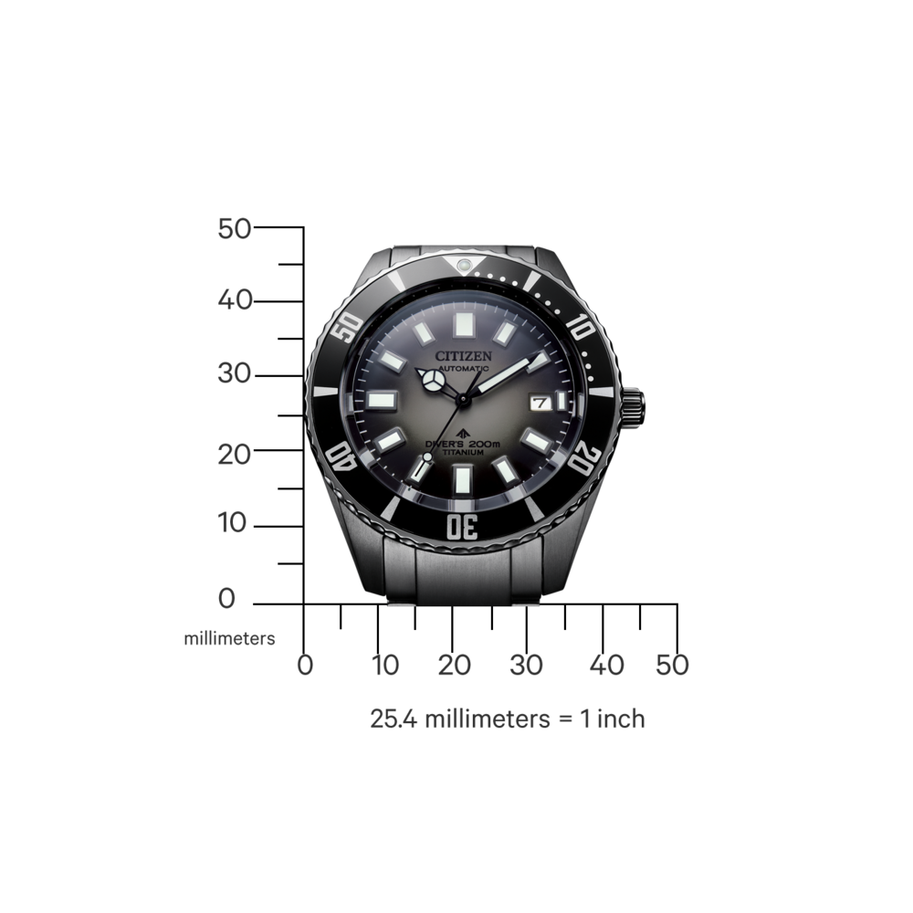 NB6025-59H Promaster Fujitsubo Mechanical Diver