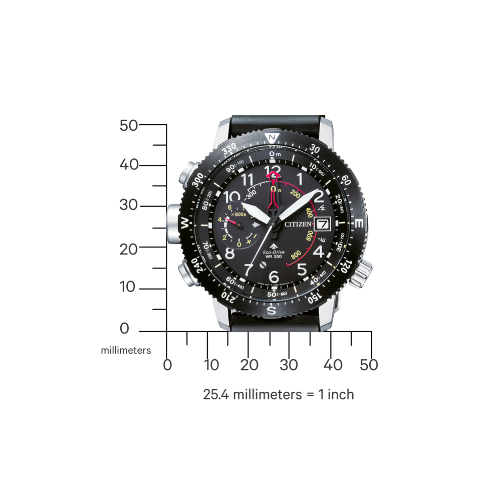 BN4044-15E Promaster Altichron