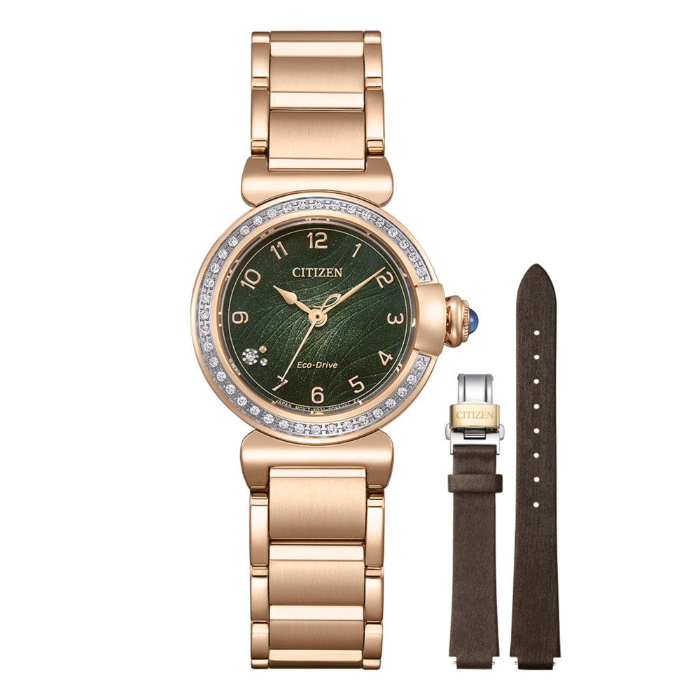 EM1123-62X Citizen L