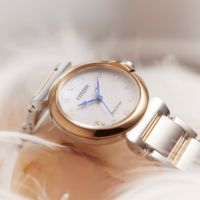 EM1136-87D Citizen L