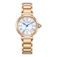 EM1063-89D