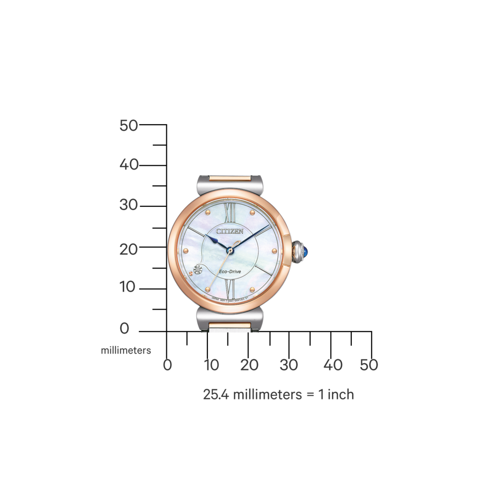 EM1074-82D