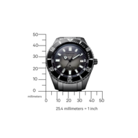 NB6025-59H Promaster Fujitsubo Mechanical Diver
