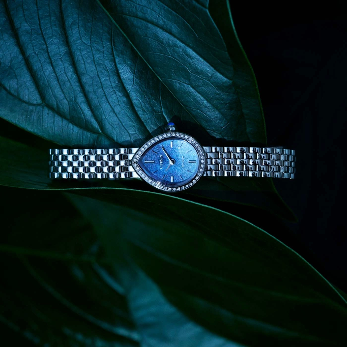 Eine diamantbesetzte tropfenförmige Uhr auf einem Blatt