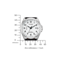 CB0250-17A