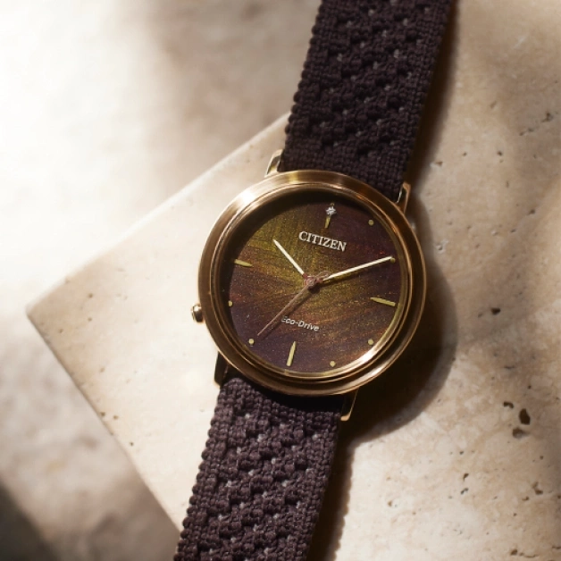 Citizen-Uhr mit braunem Armband und goldenem Zifferblatt, Eco-Drive-Technologie.