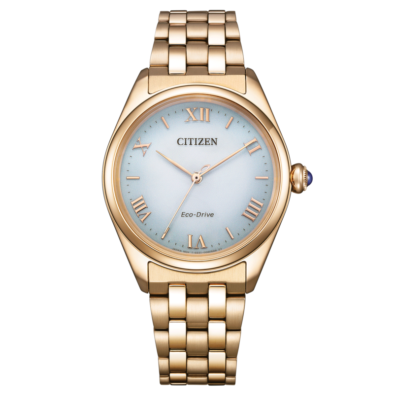 EM1143-81X Citizen L