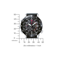 BN4044-15E Promaster Altichron