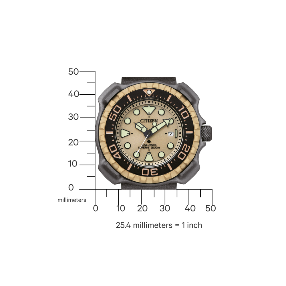 BN0226-10P Promaster Eco-Drive Diver