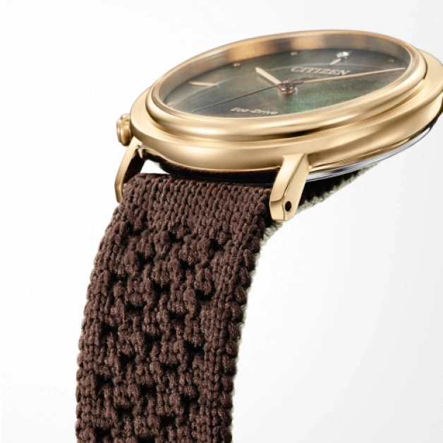Nahaufnahme einer goldenen Uhr mit braunem gewebtem Armband, Citizen Eco-Drive.