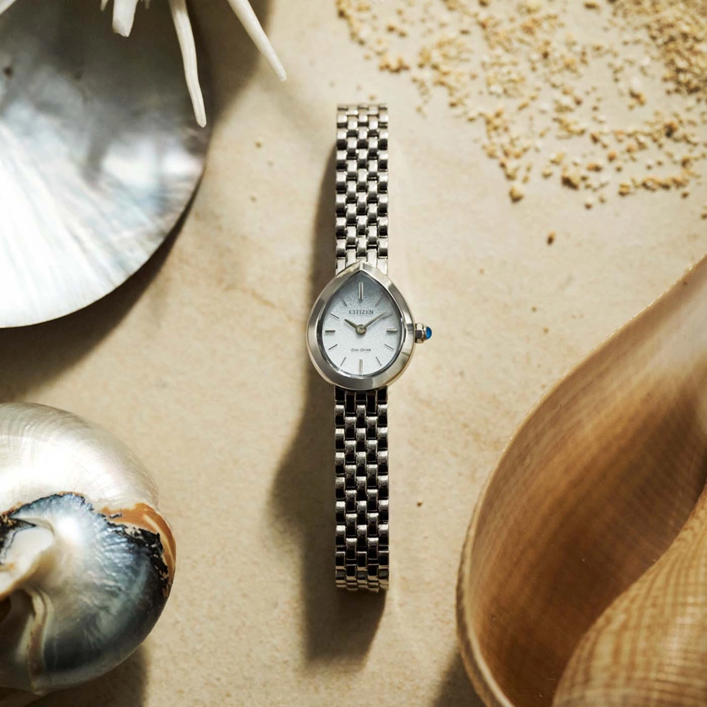 Eine Citizen Eco-Drive Uhr am Sandstrand mit Muscheln.