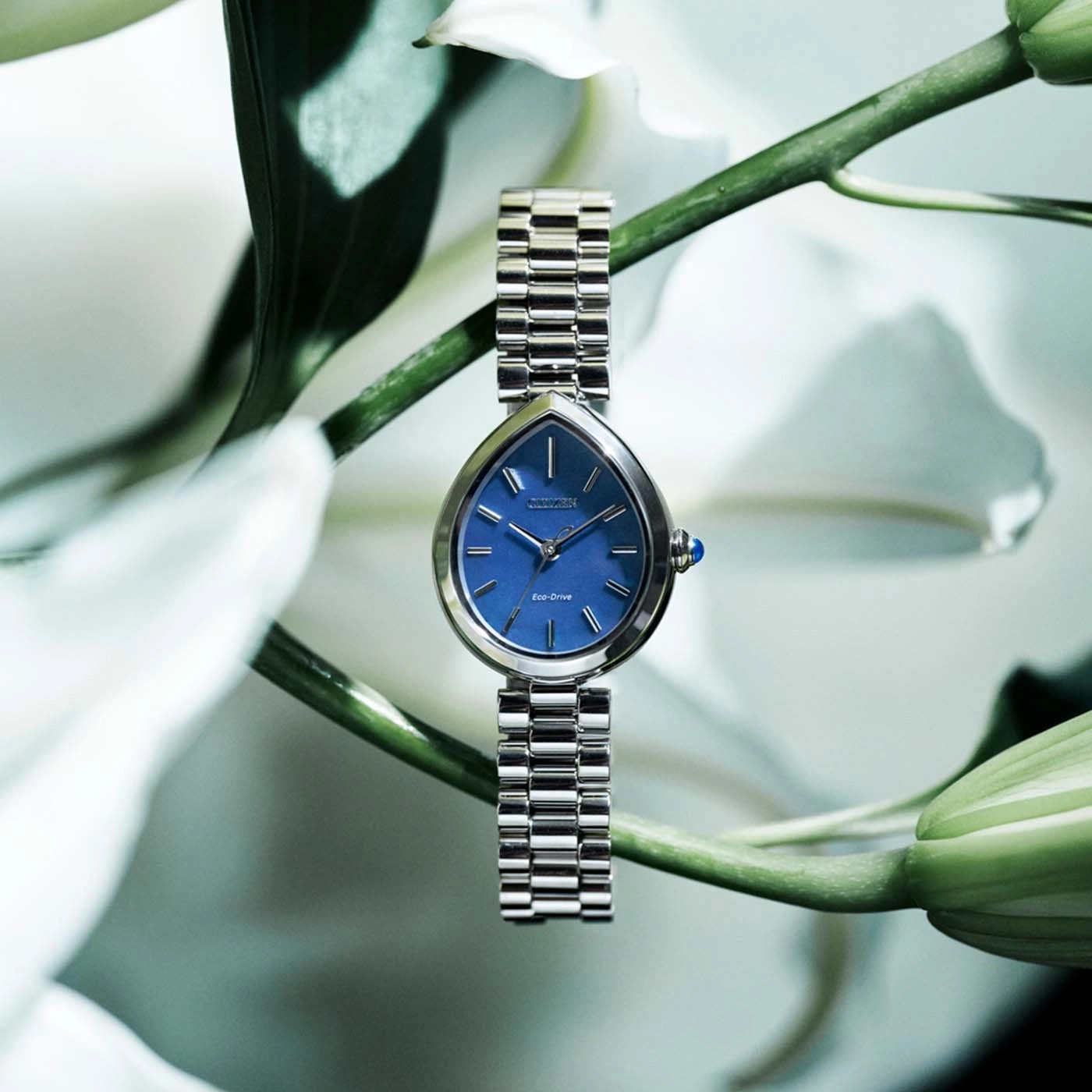 Eine blaue Citizen Eco-Drive Uhr mit silbernem Armband ruht auf einem grünen Stiel, umgeben von weißen Blumen.