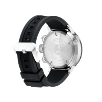 BN4044-15E Promaster Altichron