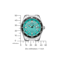 AW1760-81W